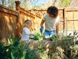 How to Start a Vegetable Garden in Your Backyard