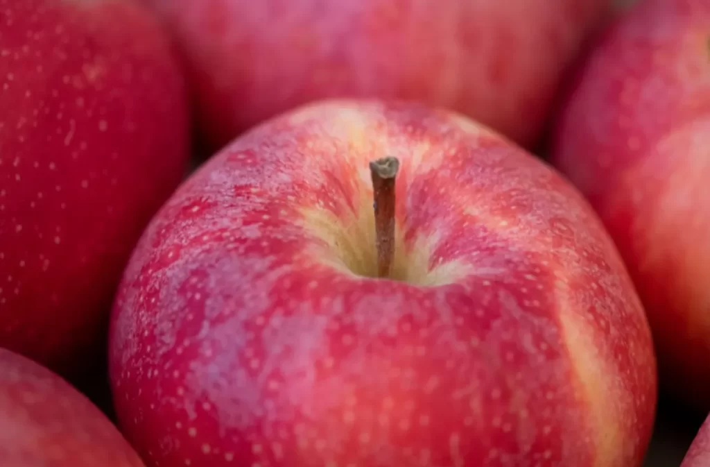 A single red apple surrounded by others, close-up view.